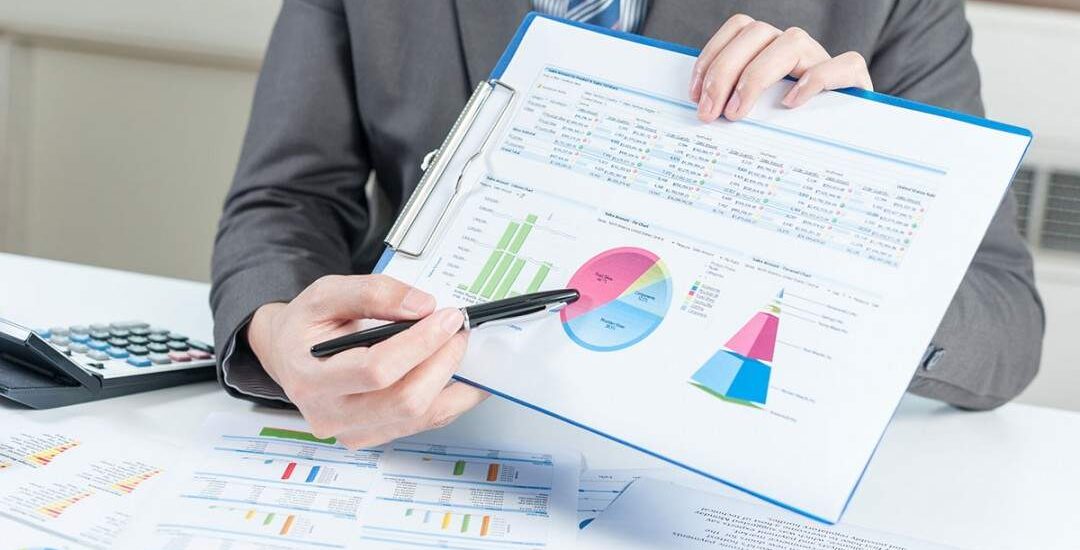 SME Consulting castle financial projections