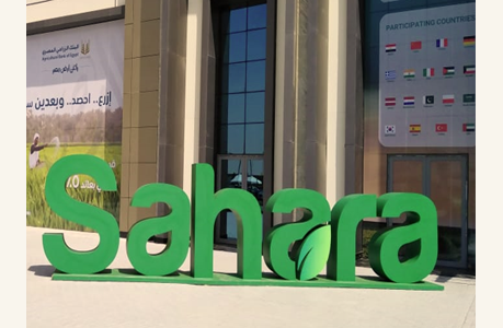 SME Consulting - Sahara Expo 2022
