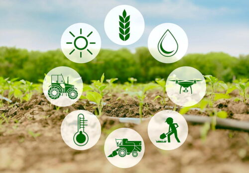 iot-in-agriculture