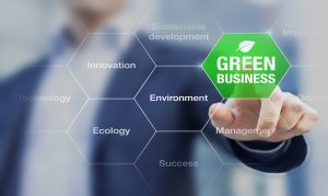 Presentation,Of,Green,Business,Concept,For,Sustainable,Development,With,Businessman