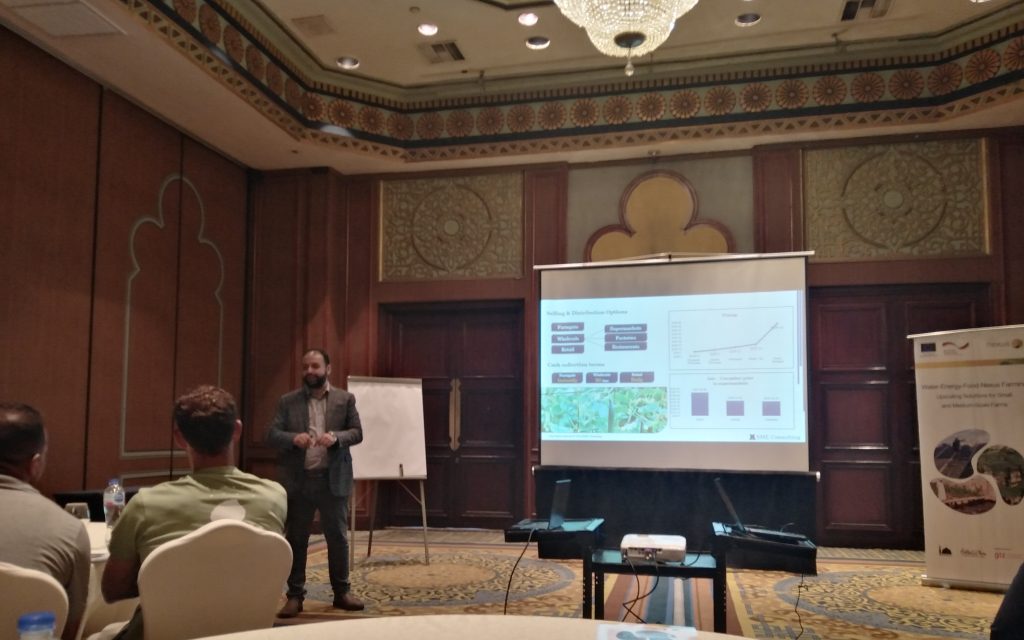 SME Consulting GIZ Egypt