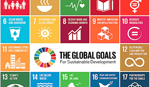 SME Consulting Sustainability Development